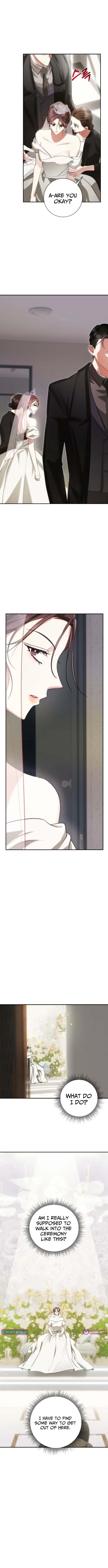 Revenge with a New Husband Chapter 2 page 2 - 