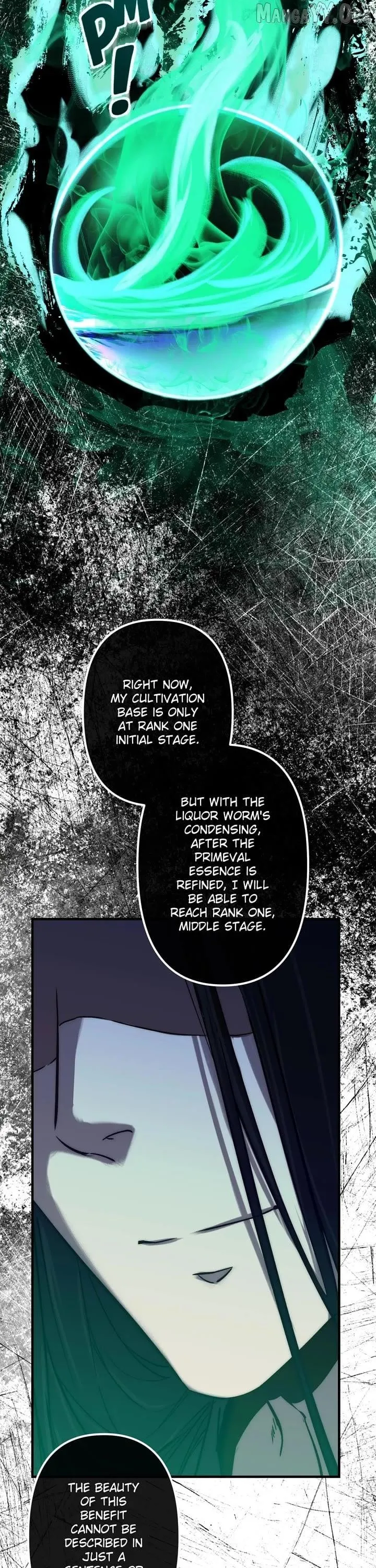 Reverend Insanity Chapter 13 page 13 - 