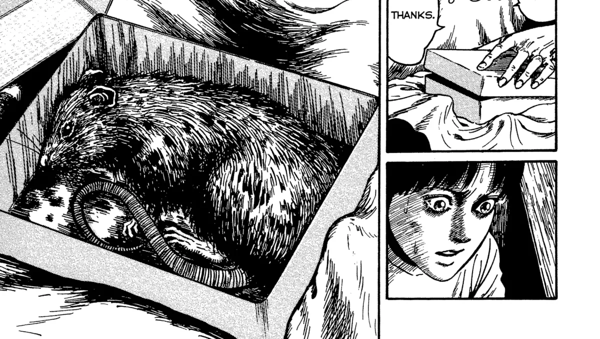 Ribs Woman Chapter 4 page 30 - 