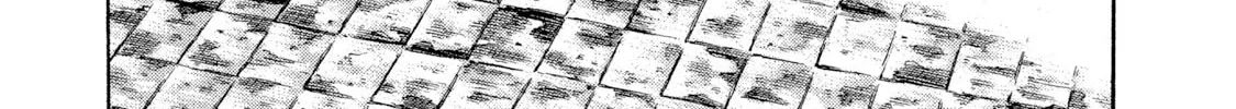 Rice Shoulder Chapter 23 page 16 - 