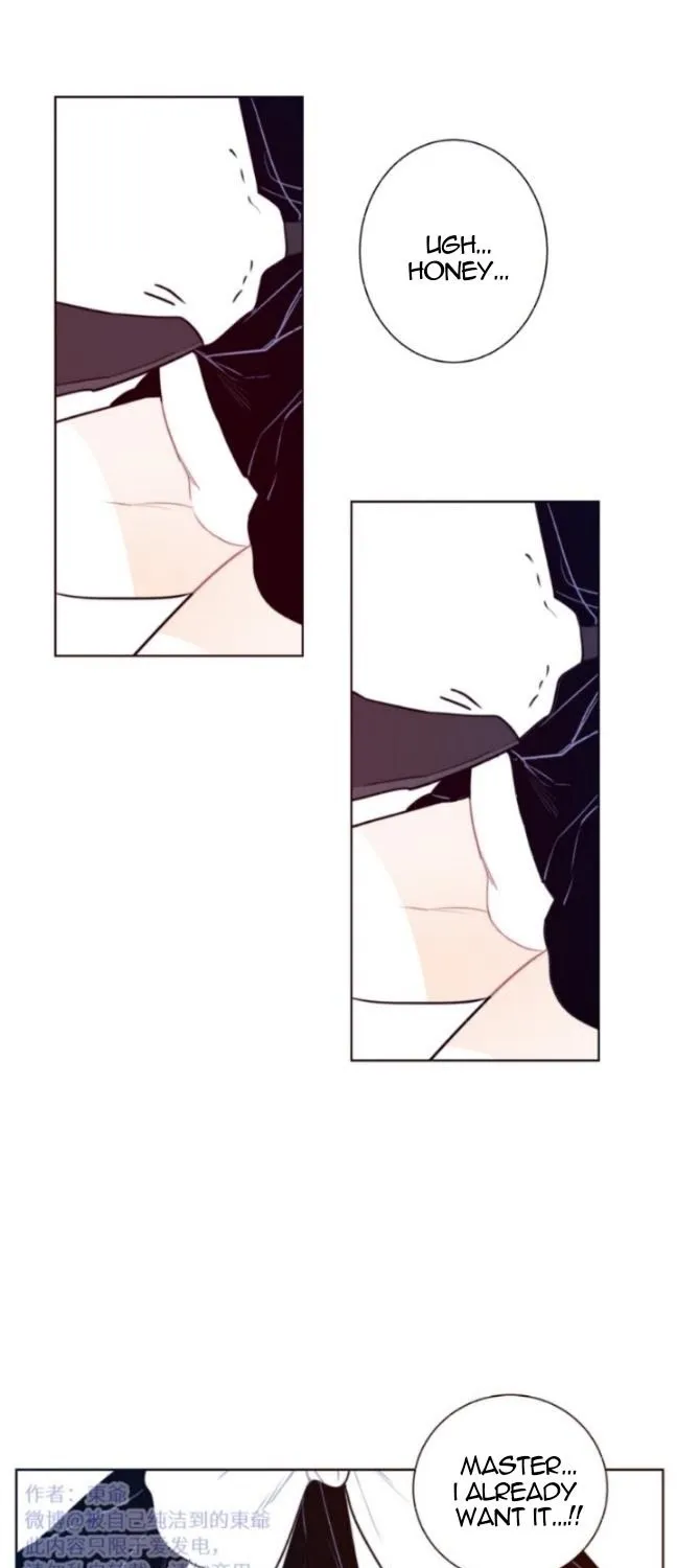 Ring Chapter 0.8 page 24 - 