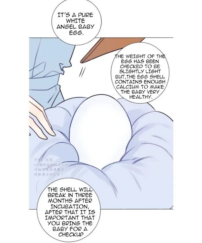 Ring Chapter 72 page 21 - 