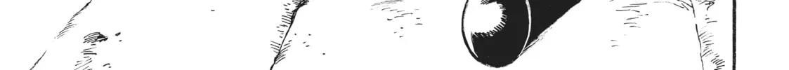 Rise of the Outlaw Tamer and His Wild S-Rank Cat Girl Chapter 11 page 2 - 