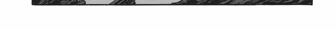 Rise of the Outlaw Tamer and His Wild S-Rank Cat Girl Chapter 25 page 26 - 