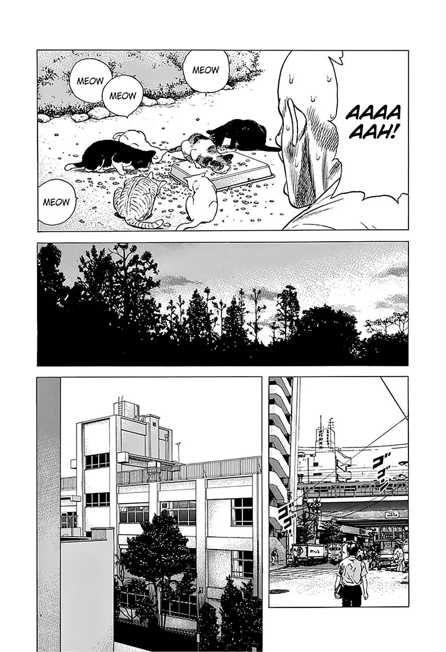 Rokudenashi Blues Chapter 242 page 16 - 
