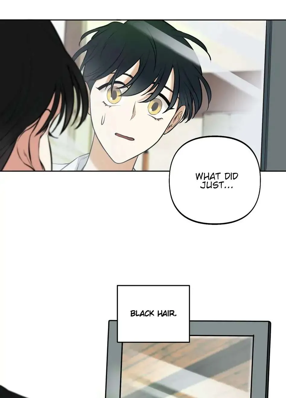 Rolling to be the King Chapter 2 page 12 - 