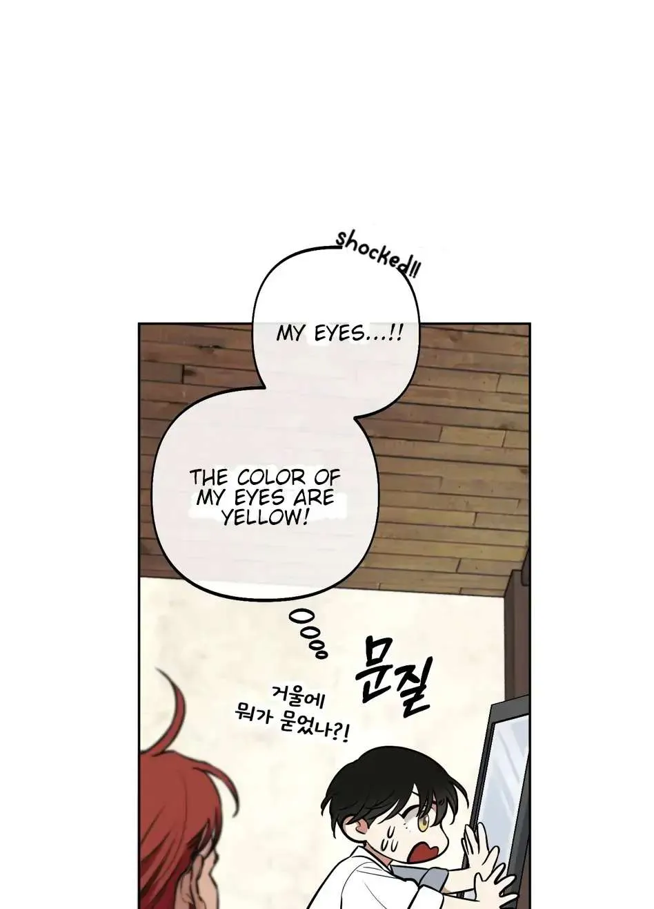 Rolling to be the King Chapter 2 page 15 - 