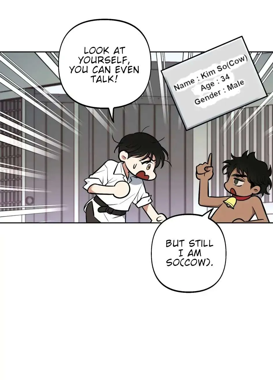 Rolling to be the King Chapter 2 page 81 - 