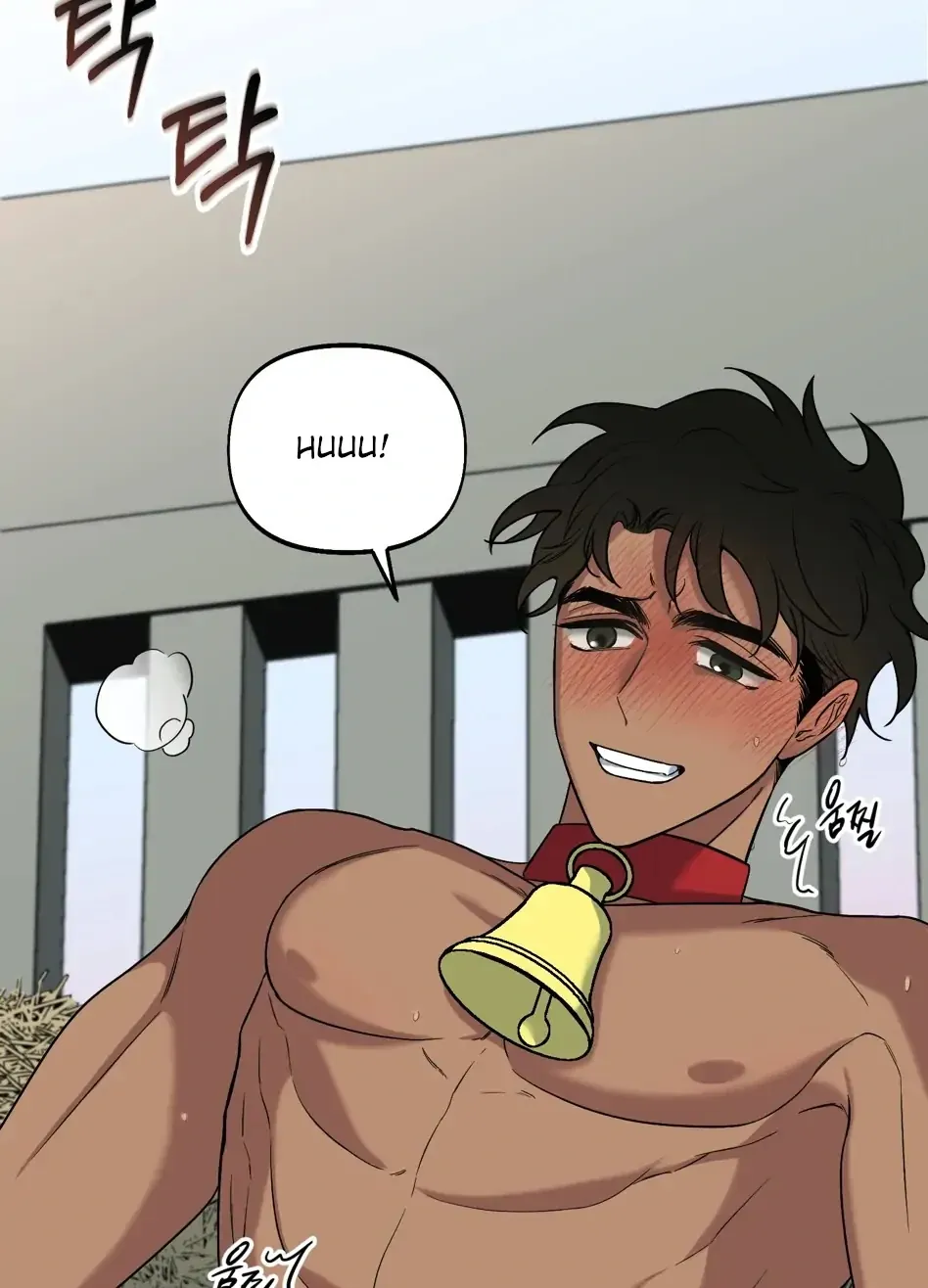 Rolling to be the King Chapter 3 page 15 - 