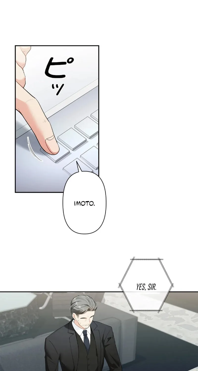 Romance by chance Chapter 1 page 65 - 