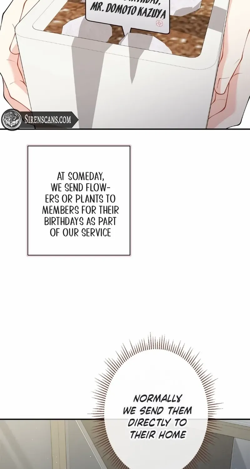 Romance by chance Chapter 11 page 32 - 