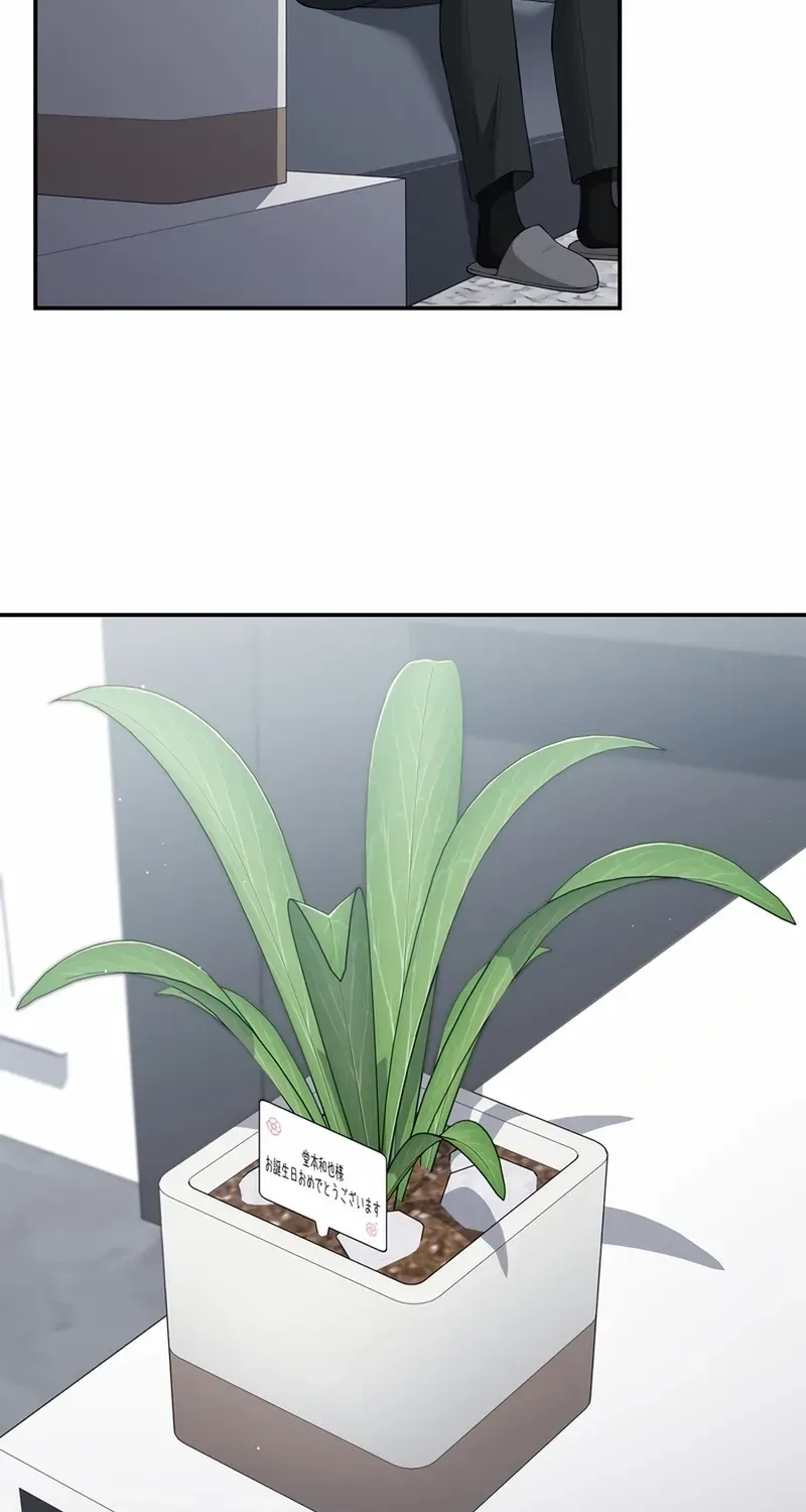 Romance by chance Chapter 12 page 66 - 