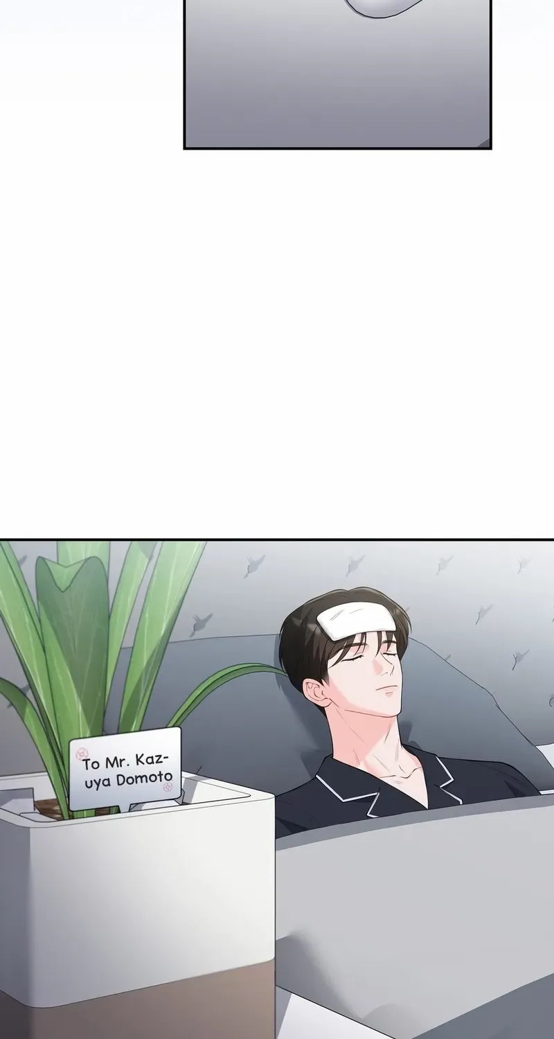 Romance by chance Chapter 13 page 67 - 