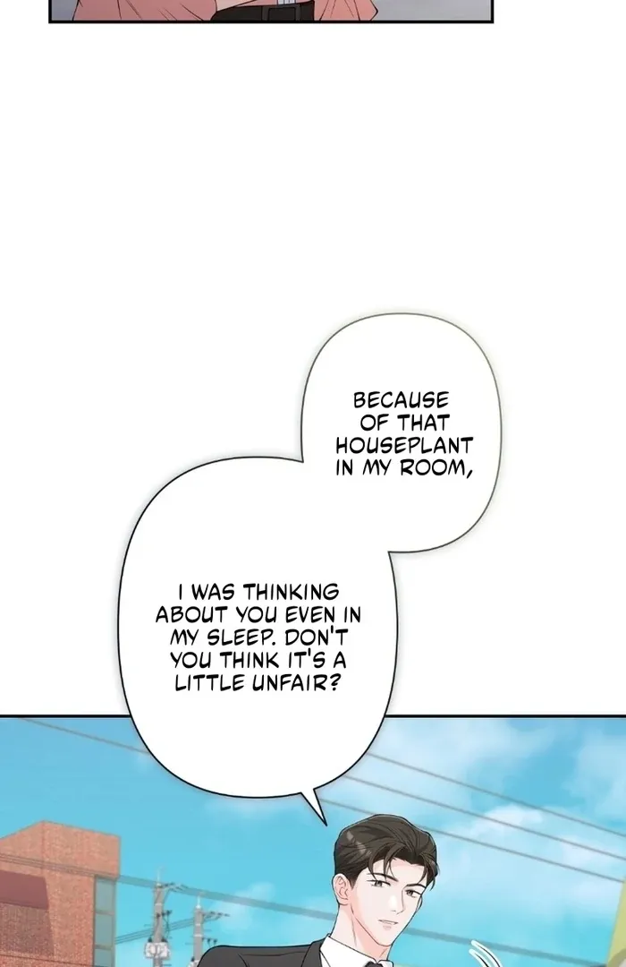 Romance by chance Chapter 14 page 41 - 