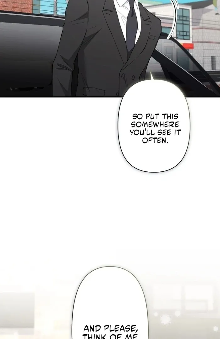Romance by chance Chapter 14 page 42 - 