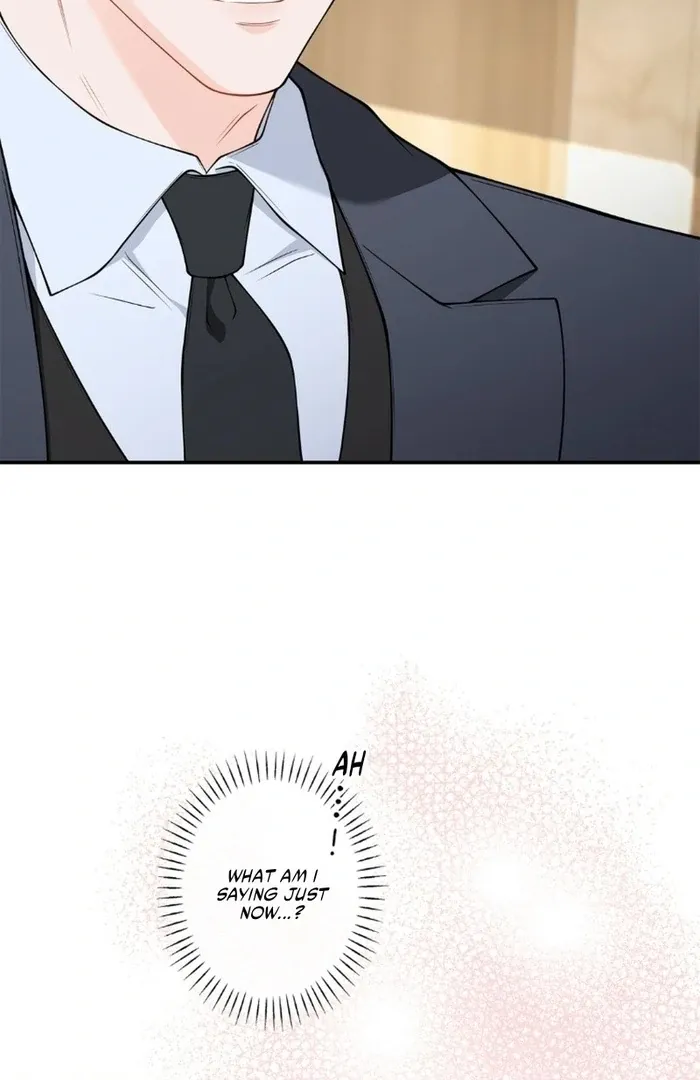 Romance by chance Chapter 17 page 41 - 