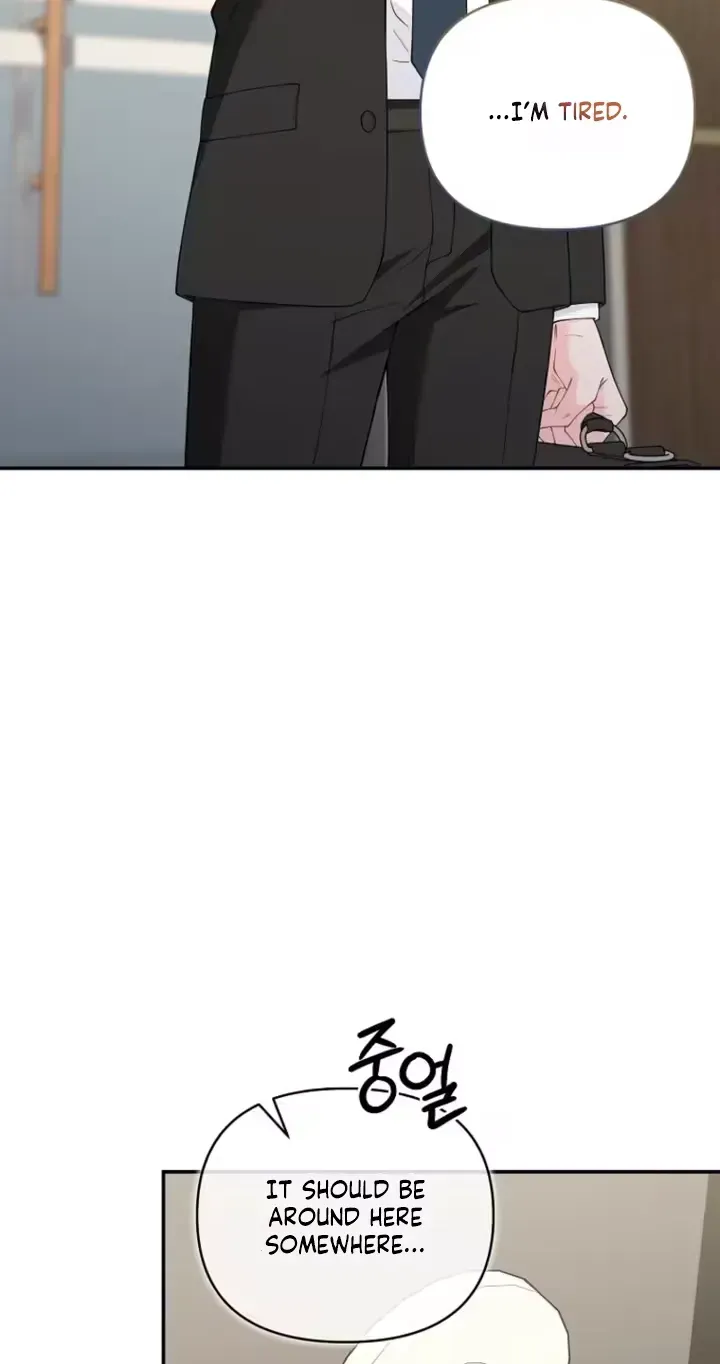 Romance by chance Chapter 27 page 3 - 