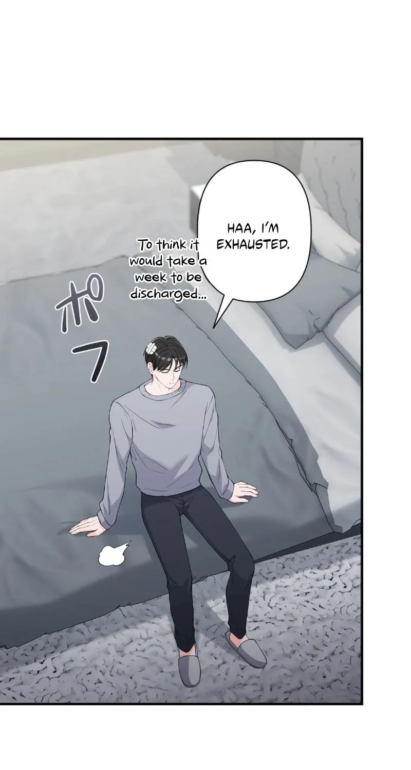 Romance by chance Chapter 4 page 47 - 