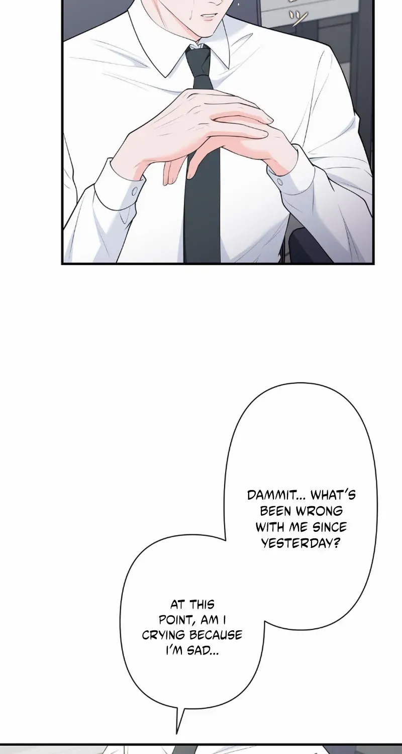 Romance by chance Chapter 6 page 64 - 