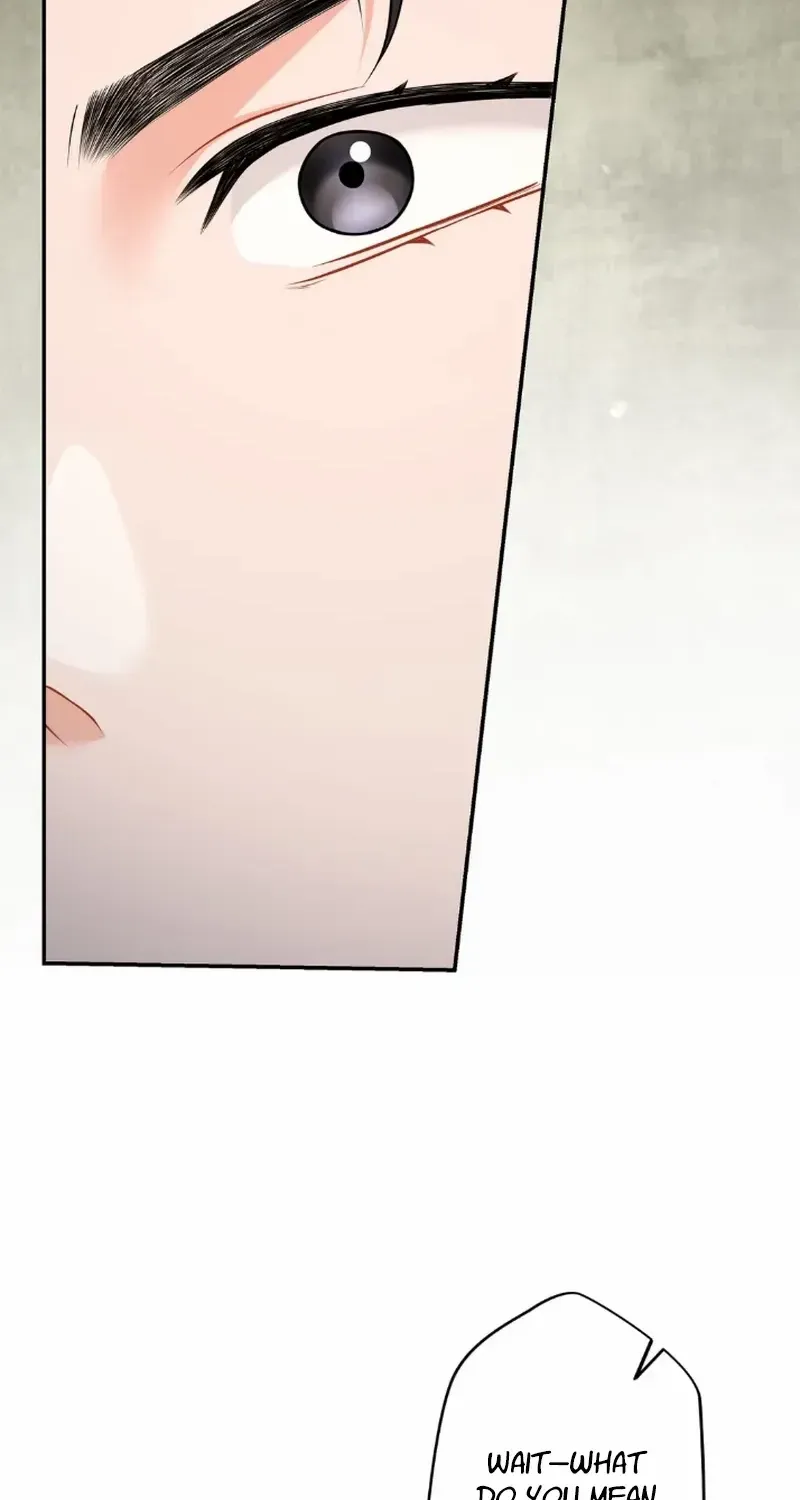 Romance by chance Chapter 9 page 66 - 