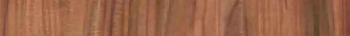 Rookie Employee Kim Cheolsu Chapter 55 page 14 - 