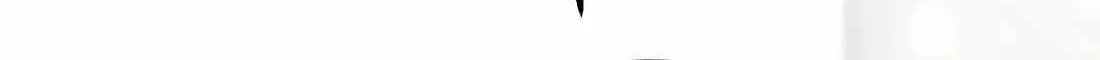 Rookie Employee Kim Cheolsu Chapter 73 page 20 - 