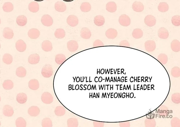 Rookie Talent Agent Knows It All Chapter 150 page 80 - 