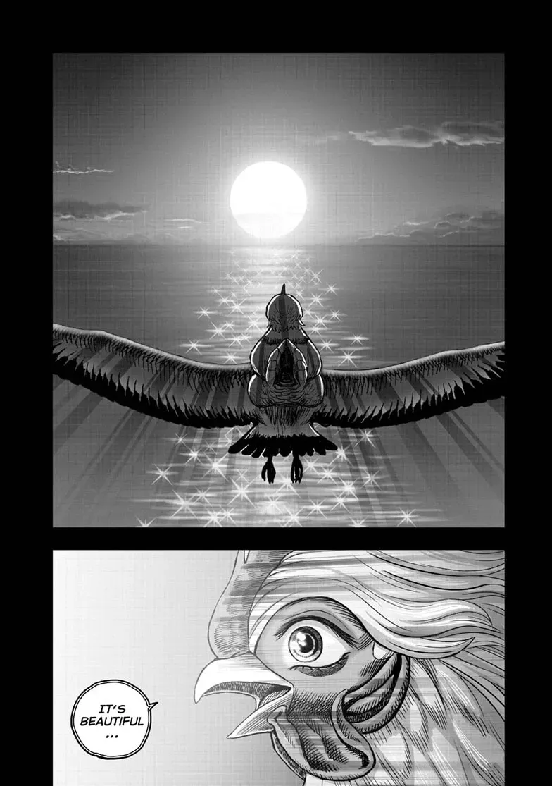 Rooster Fighter Chapter 0.1 page 41 - 