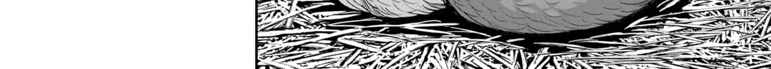 Rooster Fighter Chapter 1 page 14 - 
