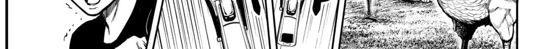 Rooster Fighter Chapter 10 page 38 - 