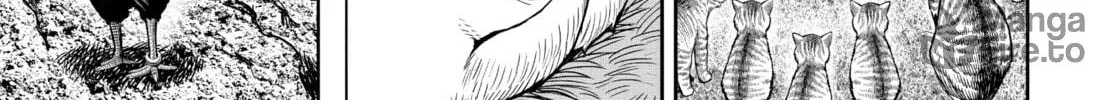 Rooster Fighter Chapter 10 page 60 - 