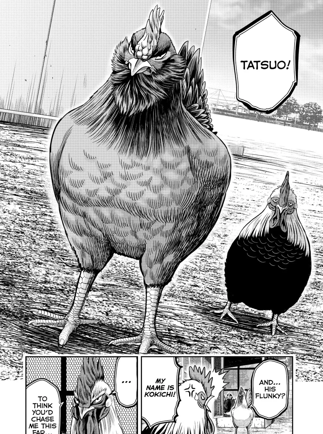 Rooster Fighter Chapter 11 page 27 - 