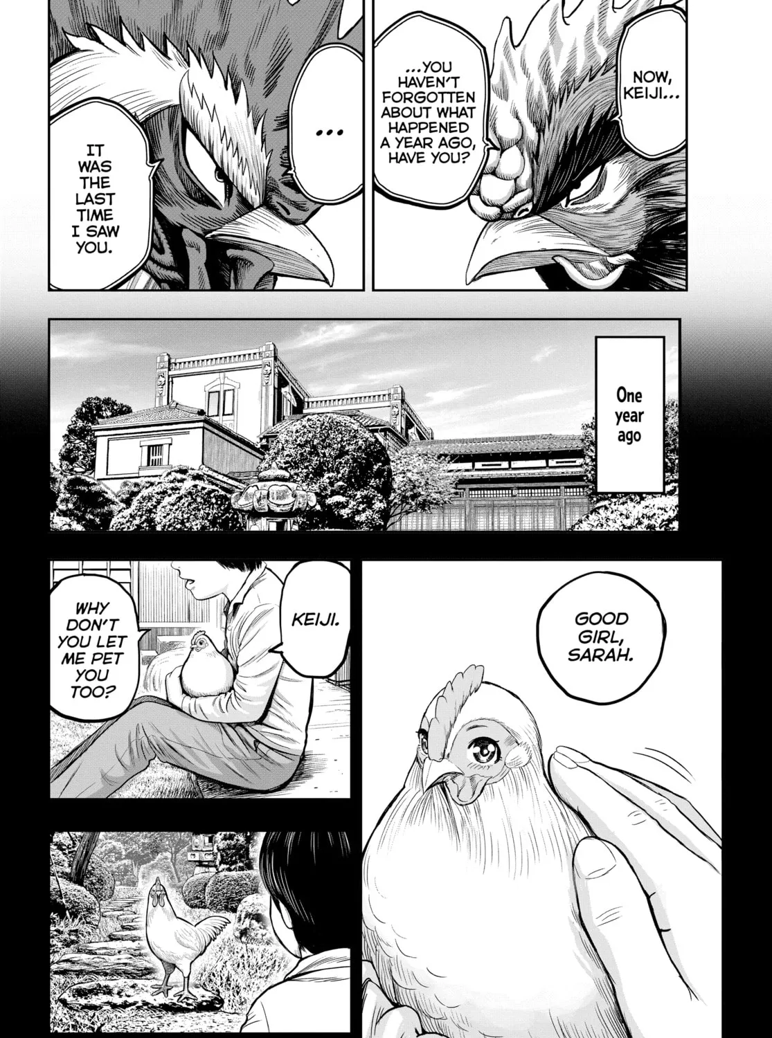 Rooster Fighter Chapter 11 page 31 - 