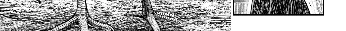 Rooster Fighter Chapter 11 page 88 - 