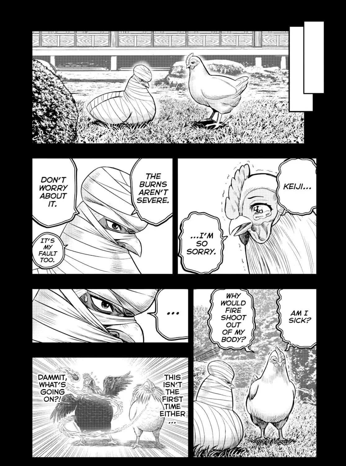 Rooster Fighter Chapter 17 page 11 - 