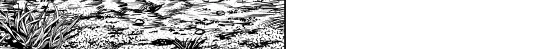 Rooster Fighter Chapter 17 page 22 - 