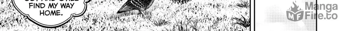 Rooster Fighter Chapter 17 page 50 - 