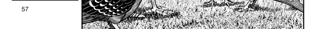 Rooster Fighter Chapter 17 page 58 - 