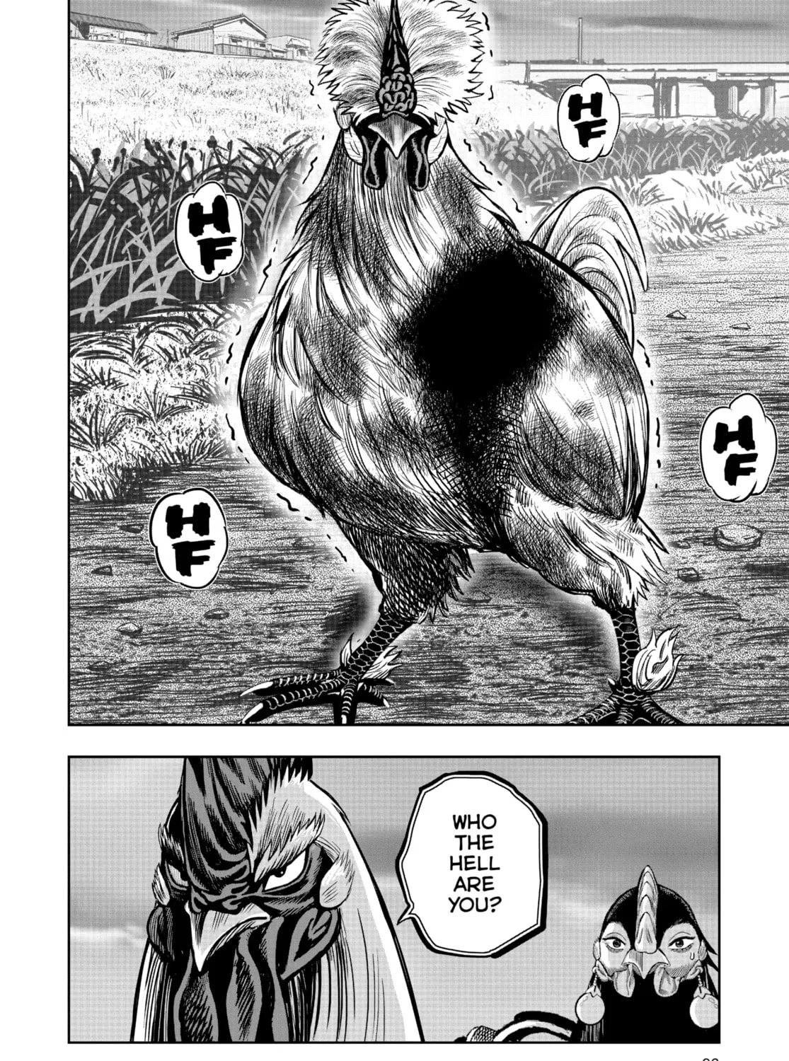 Rooster Fighter Chapter 18 page 61 - 
