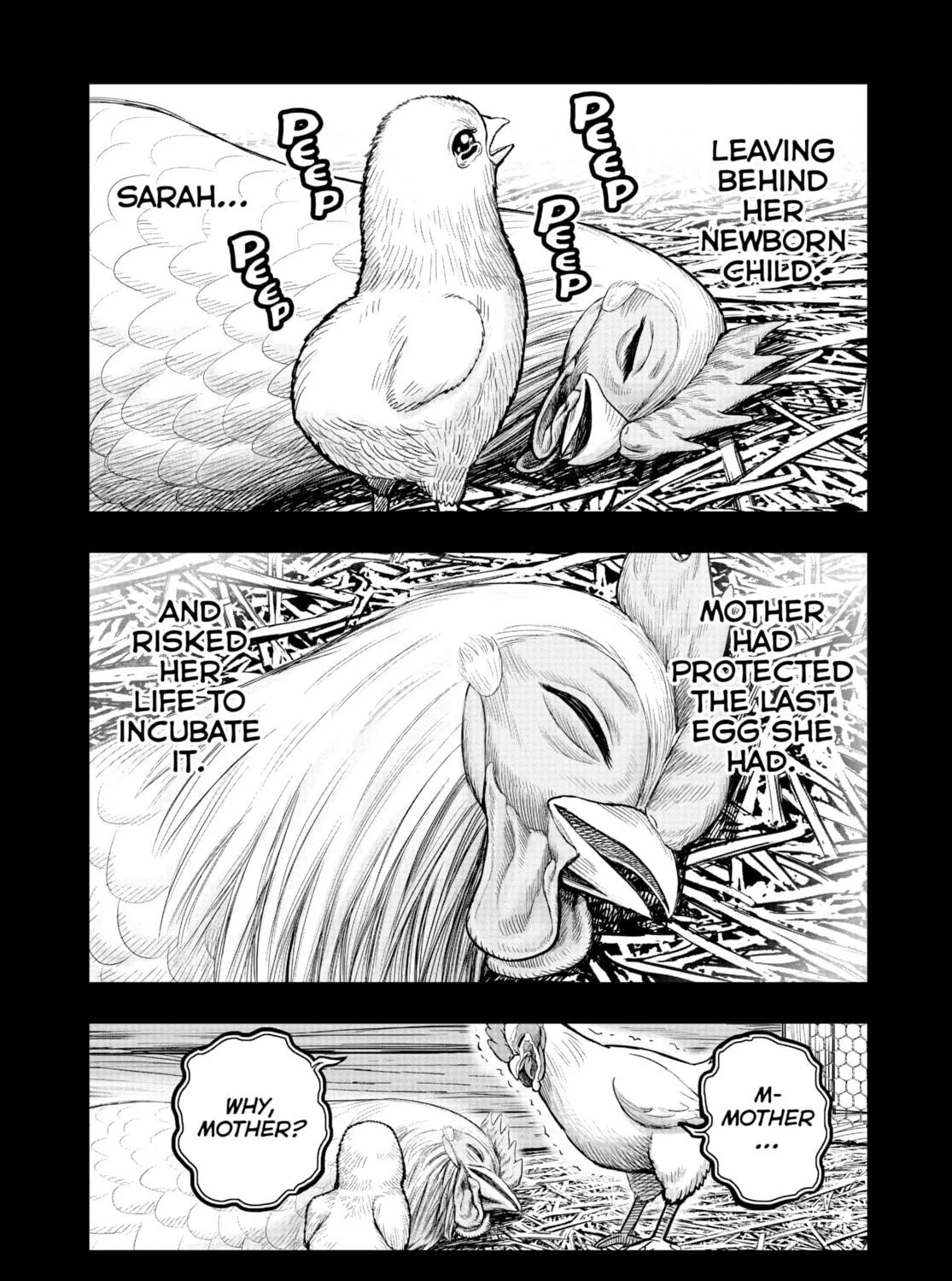 Rooster Fighter Chapter 19 page 41 - 