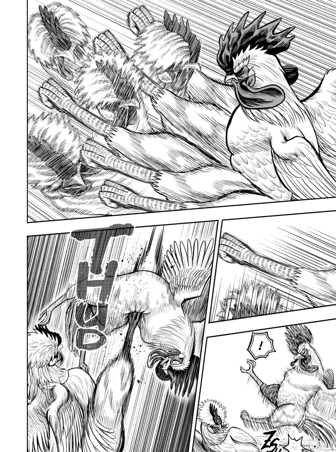 Rooster Fighter Chapter 19 page 63 - 