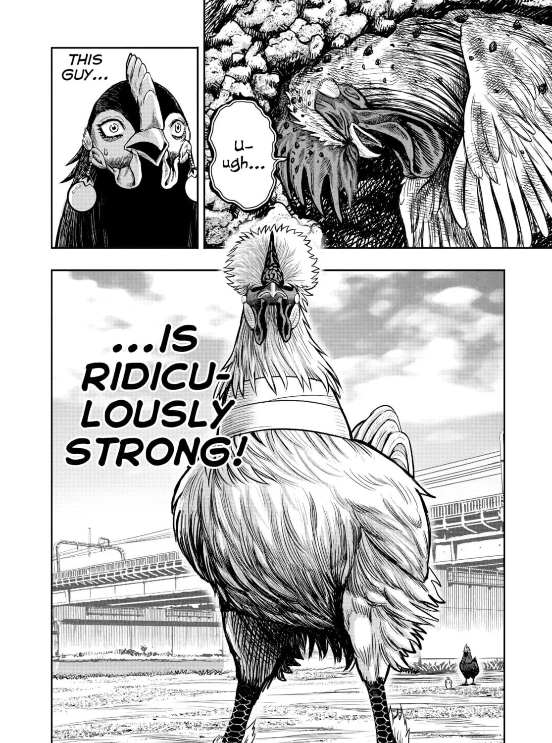 Rooster Fighter Chapter 19 page 77 - 