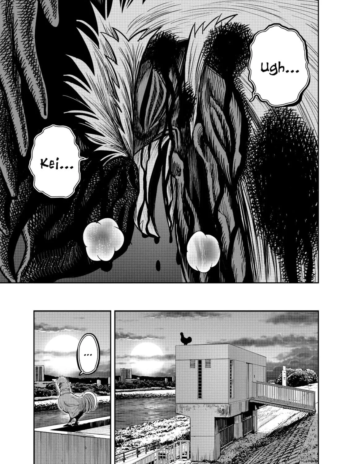 Rooster Fighter Chapter 20 page 5 - 
