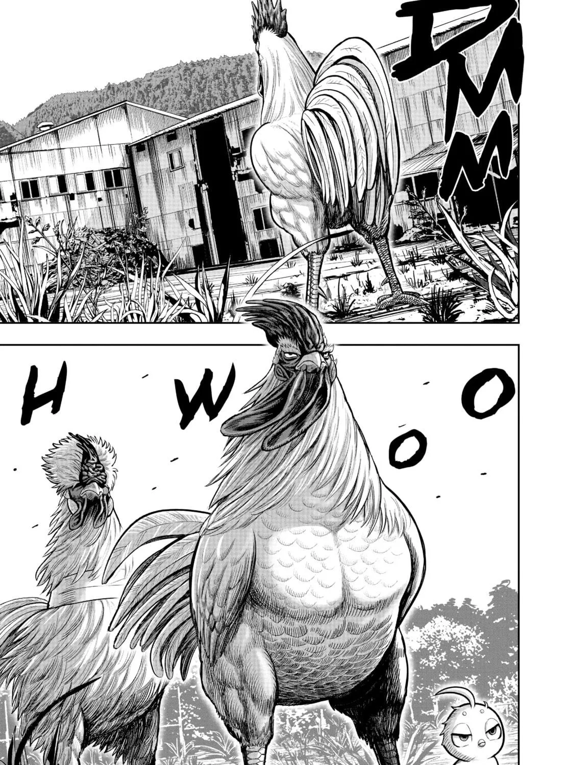 Rooster Fighter Chapter 21 page 69 - 