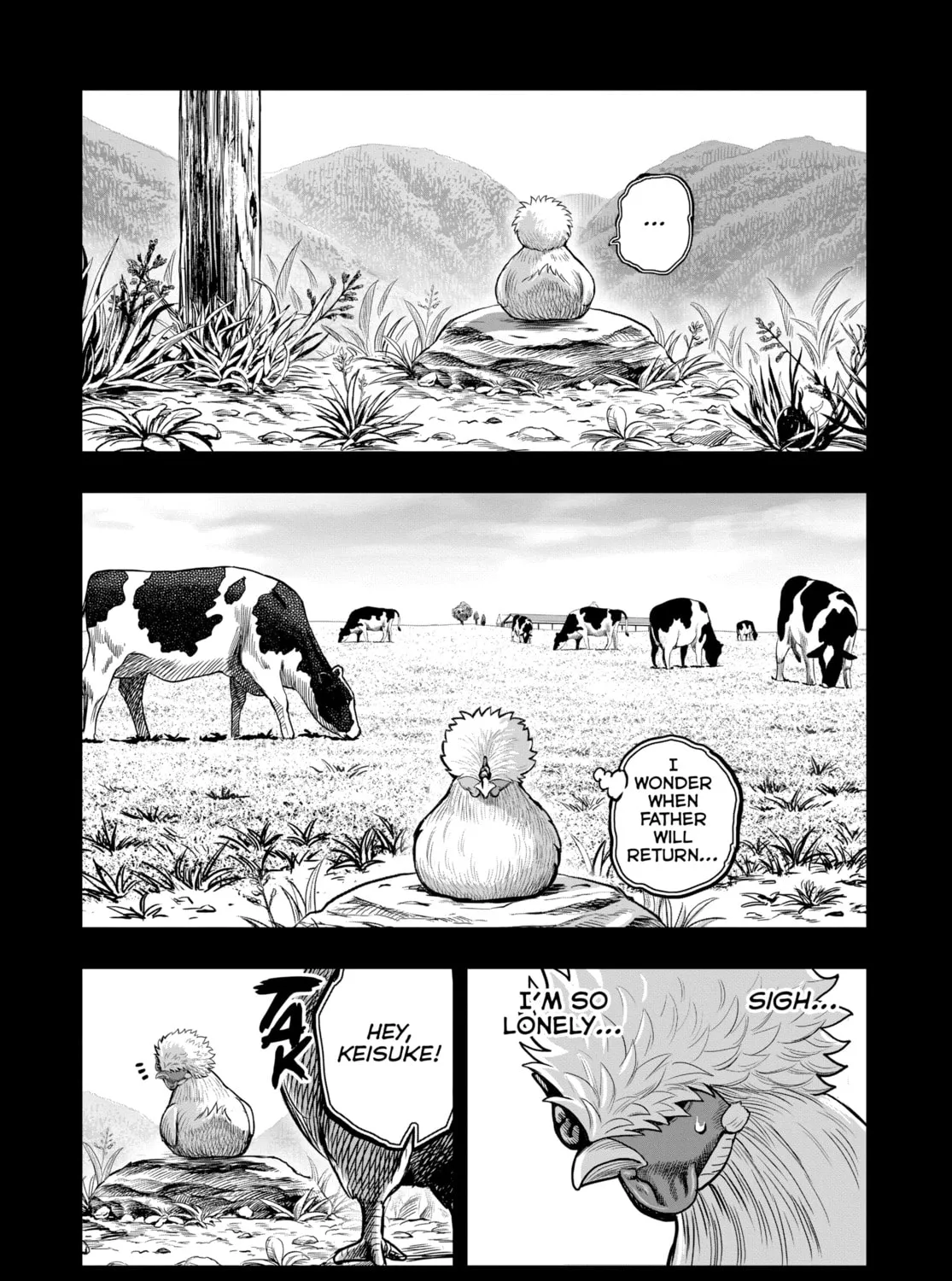 Rooster Fighter Chapter 27 page 3 - 