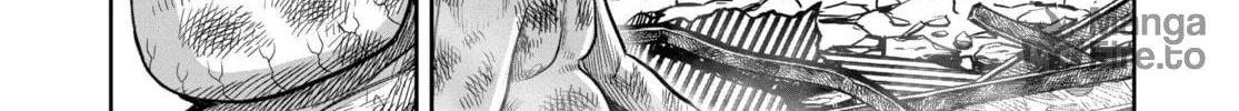 Rooster Fighter Chapter 29 page 20 - 