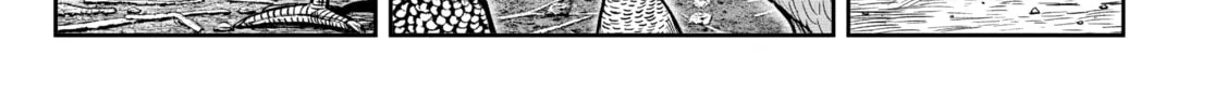 Rooster Fighter Chapter 3 page 14 - 