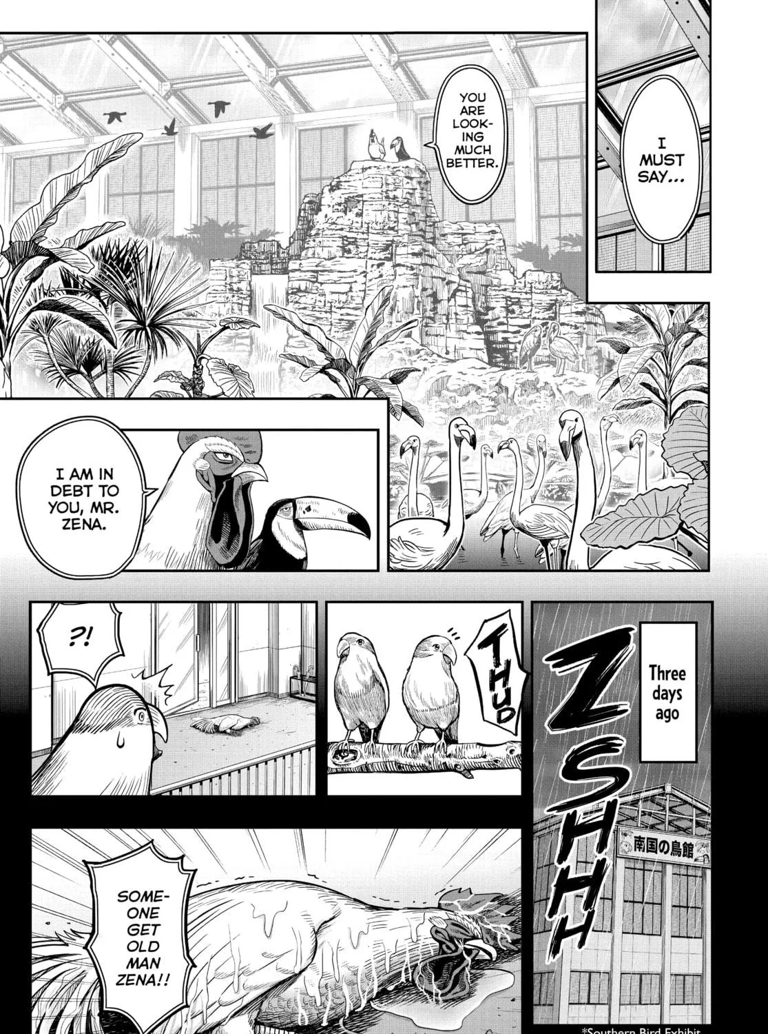 Rooster Fighter Chapter 3 page 17 - 
