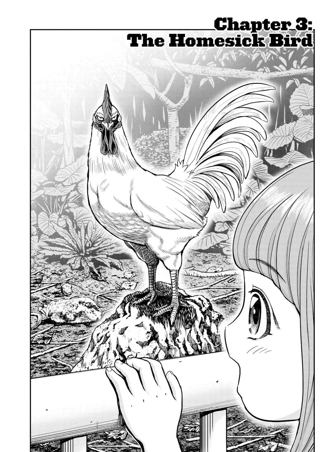 Rooster Fighter Chapter 3 page 3 - 