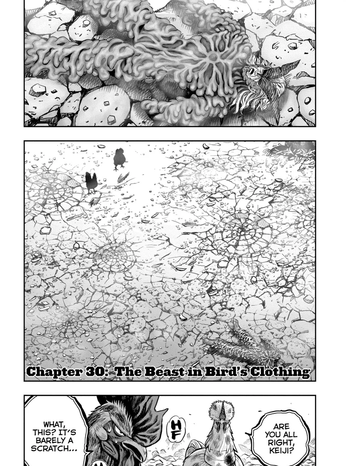 Rooster Fighter Chapter 30 page 1 - 